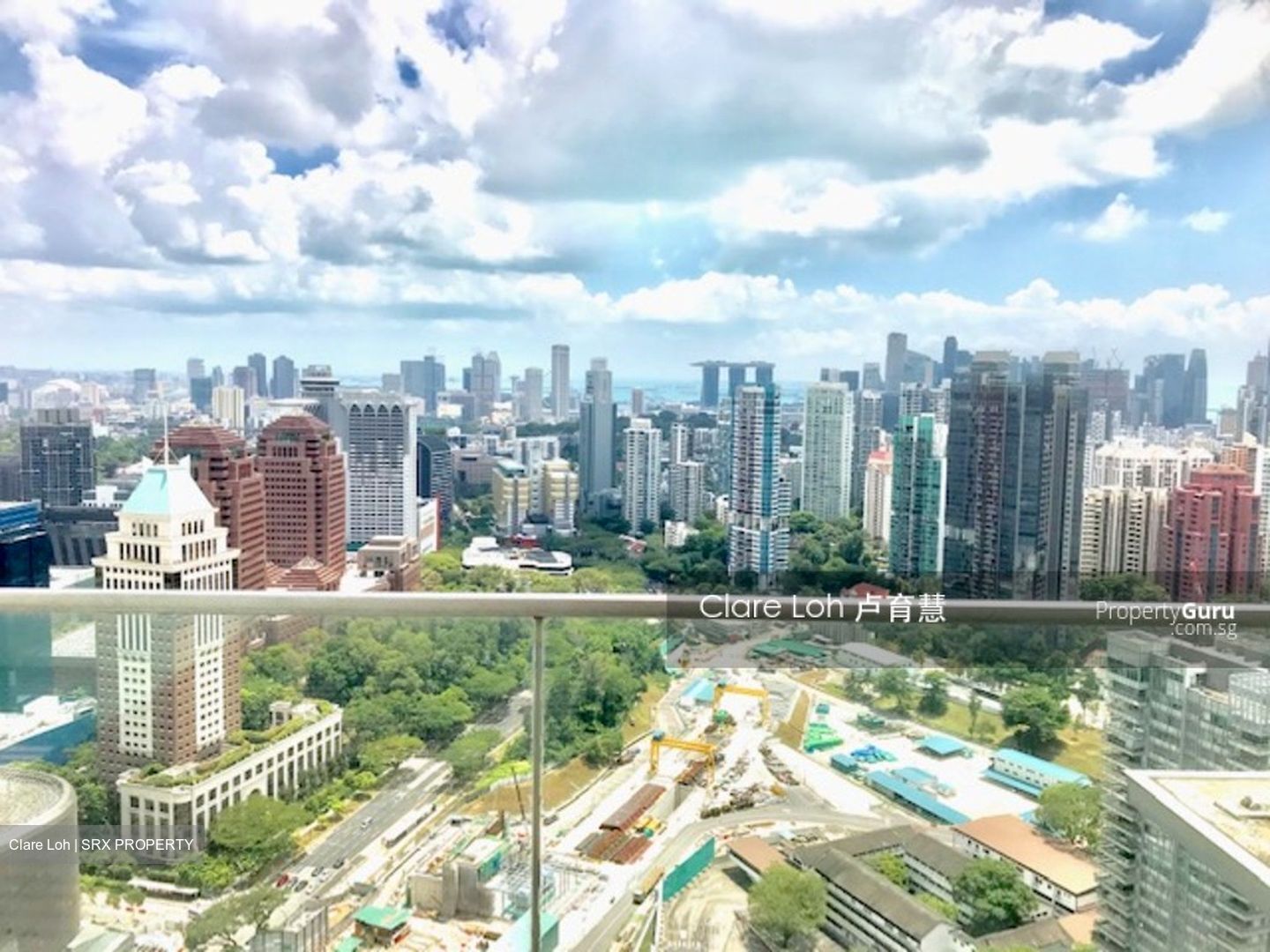 Skyline @ Orchard Boulevard (D9), Apartment #519808291